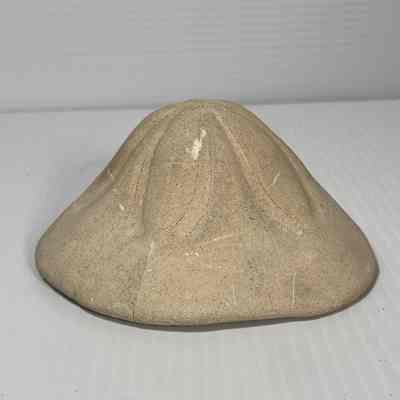 Clypeaster sp. (Sand dollar)