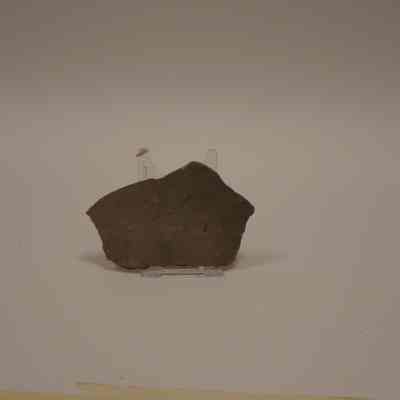 Fossil