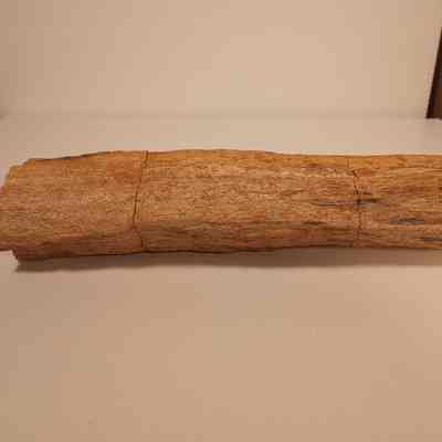 Petrified wood