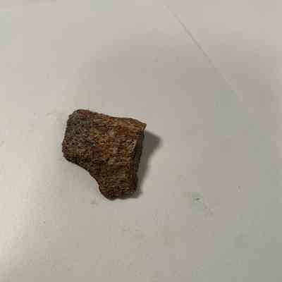 Permineralized Dinosaur Bone