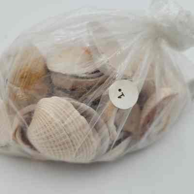Unknown shells