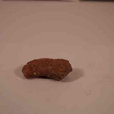 Fossil