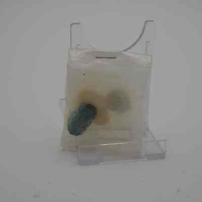Quartz Rock Baggies