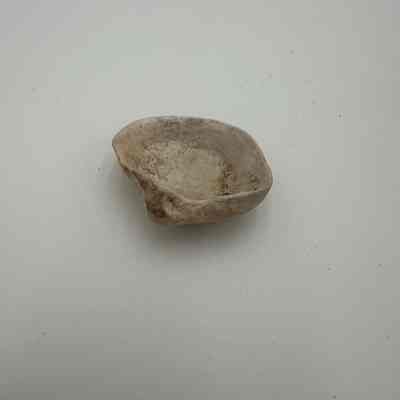 Unknown shell