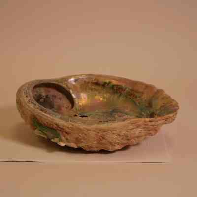 Shell