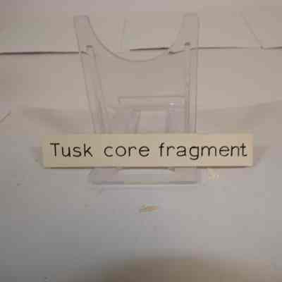 Tusk core Fragments