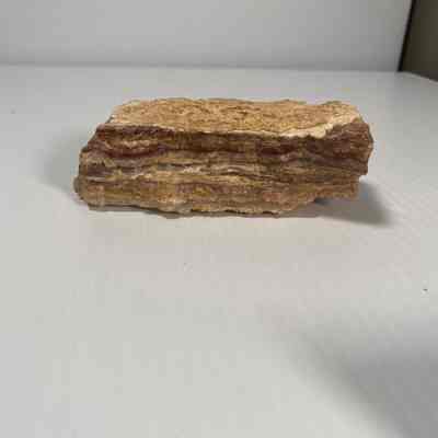 Bacon Opal