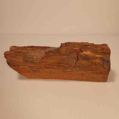 Petrified wood
