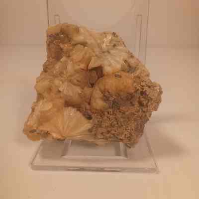 Scolecite