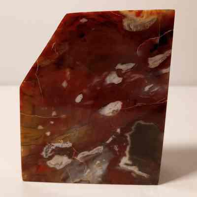 Petrified wood