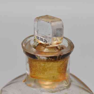 Peppermint Oil Bottle Lid