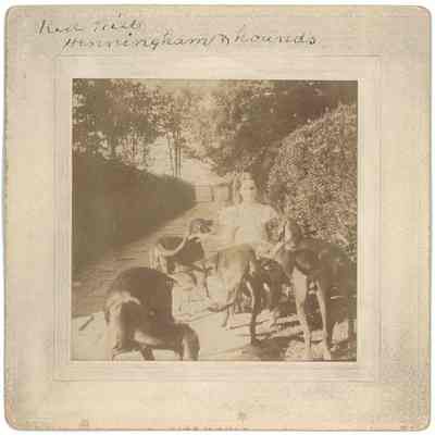 Henningham Lyons & Hounds at Red Hill