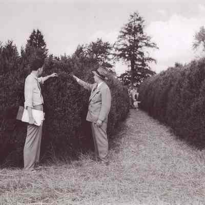 Thomas S. Buie & Lyn Shelton in Boxwood Garden
