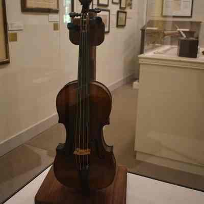 Violin