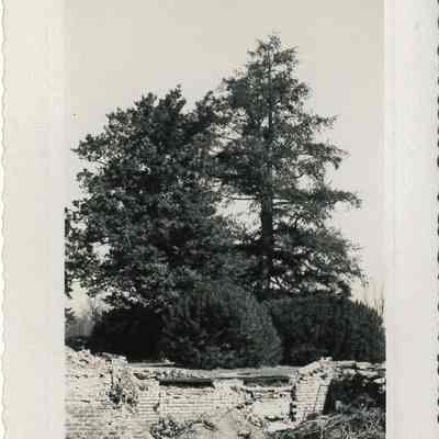 Red Hill Mansion Ruins
