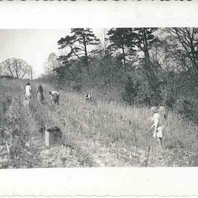 Group Working in a Field