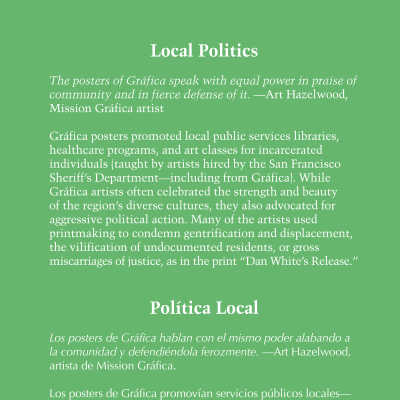Local Politics Panel