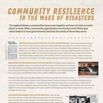 Community Resilience in the Wake of Disasters