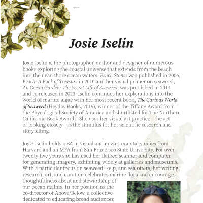 Artist Statement - Josie Iselin