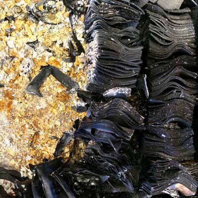 Slides Close-up Photograph