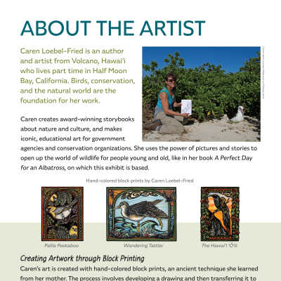 About the Artist