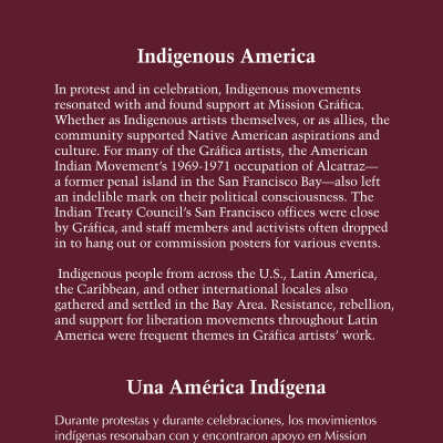 Indigenous America Panel