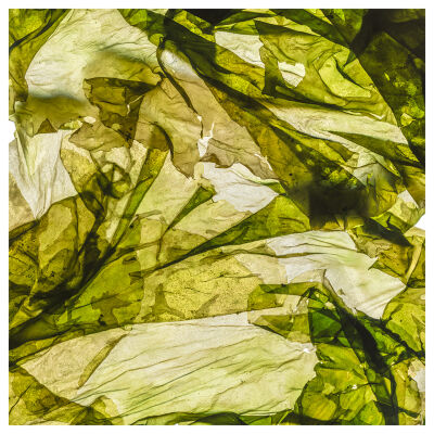 Abstract Green