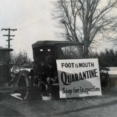 Quarantine Car Stop