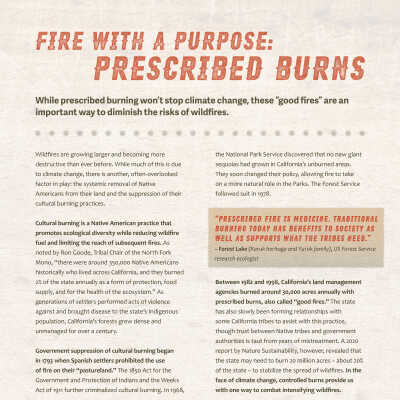 Fire with a Purpose: Prescribed Burns