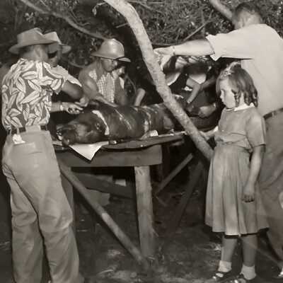 Carving Lechon (Roasted Pig)