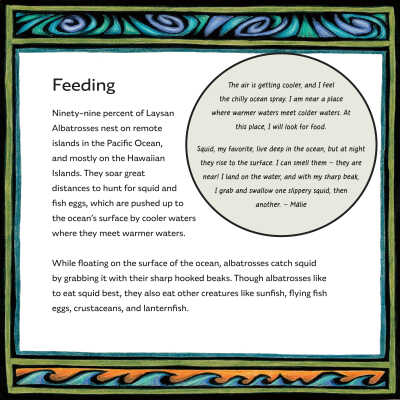 Feeding