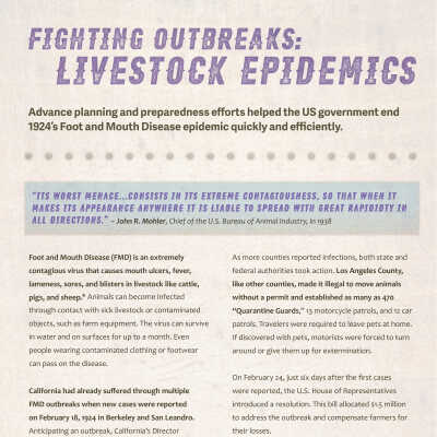 Fighting Outbreaks: Livestock Epidemics