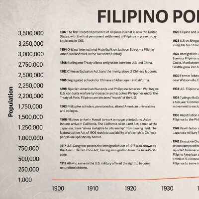 Timeline Panel A