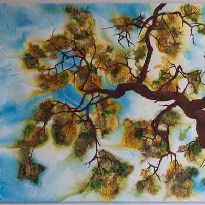 Valley Oak
