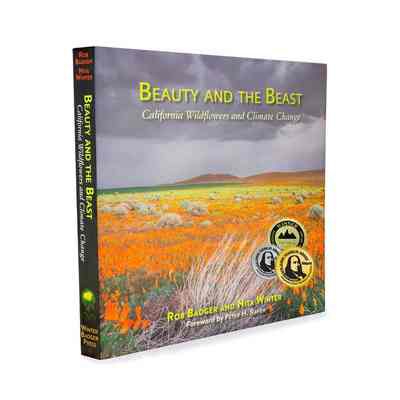 Book: Beauty and the Beast (by Rob Badger and Nita Winter)