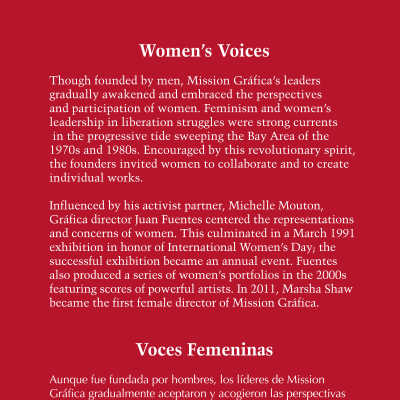 Women's Voices Panel