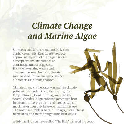 Climate Change