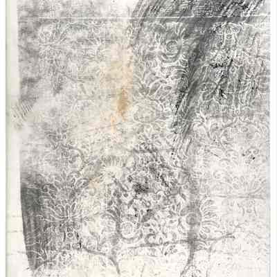 Veiled #3