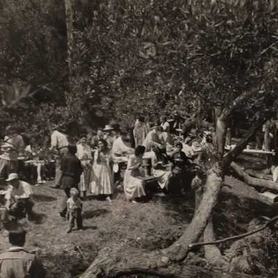 Picnic