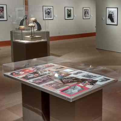 (15) Issues of "News from Native California"