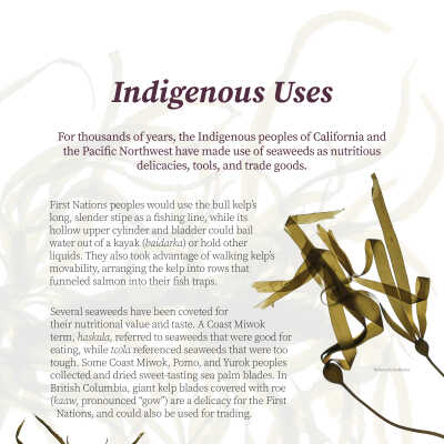 Indigenous Uses