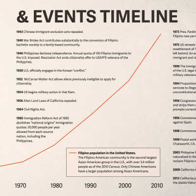 Timeline Panel B