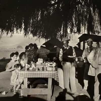 Family Picnic