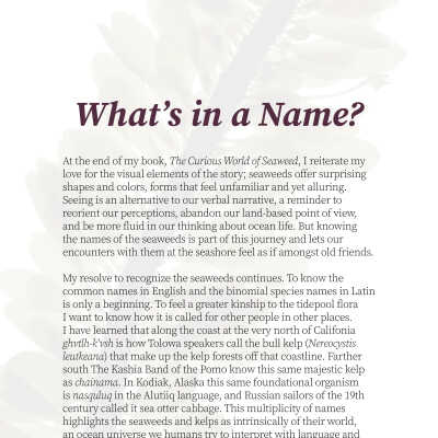 What's in a Name