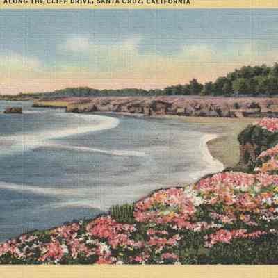 Postcard: Along the Cliff Drive