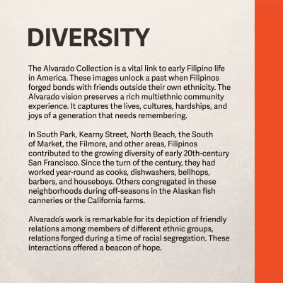 Diversity