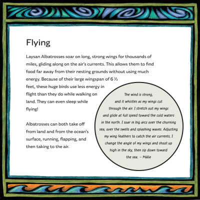 Flying