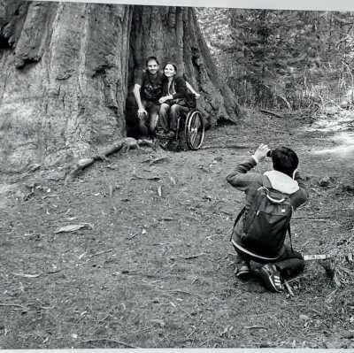 Mariposa Grove