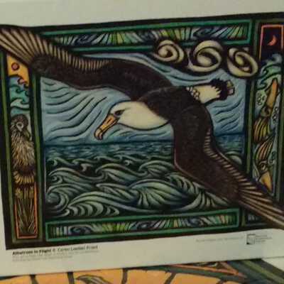 "Albatross in Flight" Puzzle