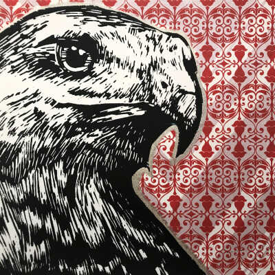 Atseetuts'ii (Red Tail Hawk)